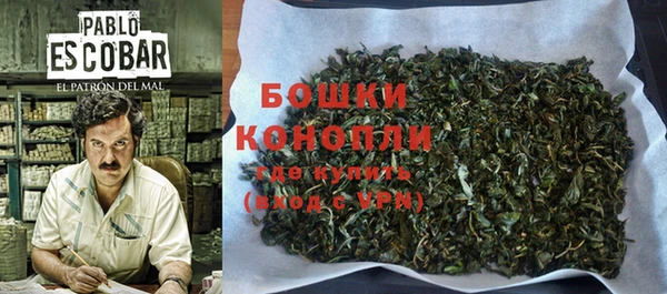 шишки Абаза