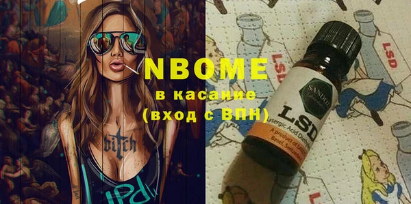 шишки Абаза