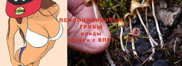 гидра Пересвет